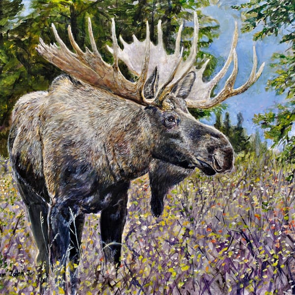 Moose with large antlers in wildflower meadow — painting by William John Jr.