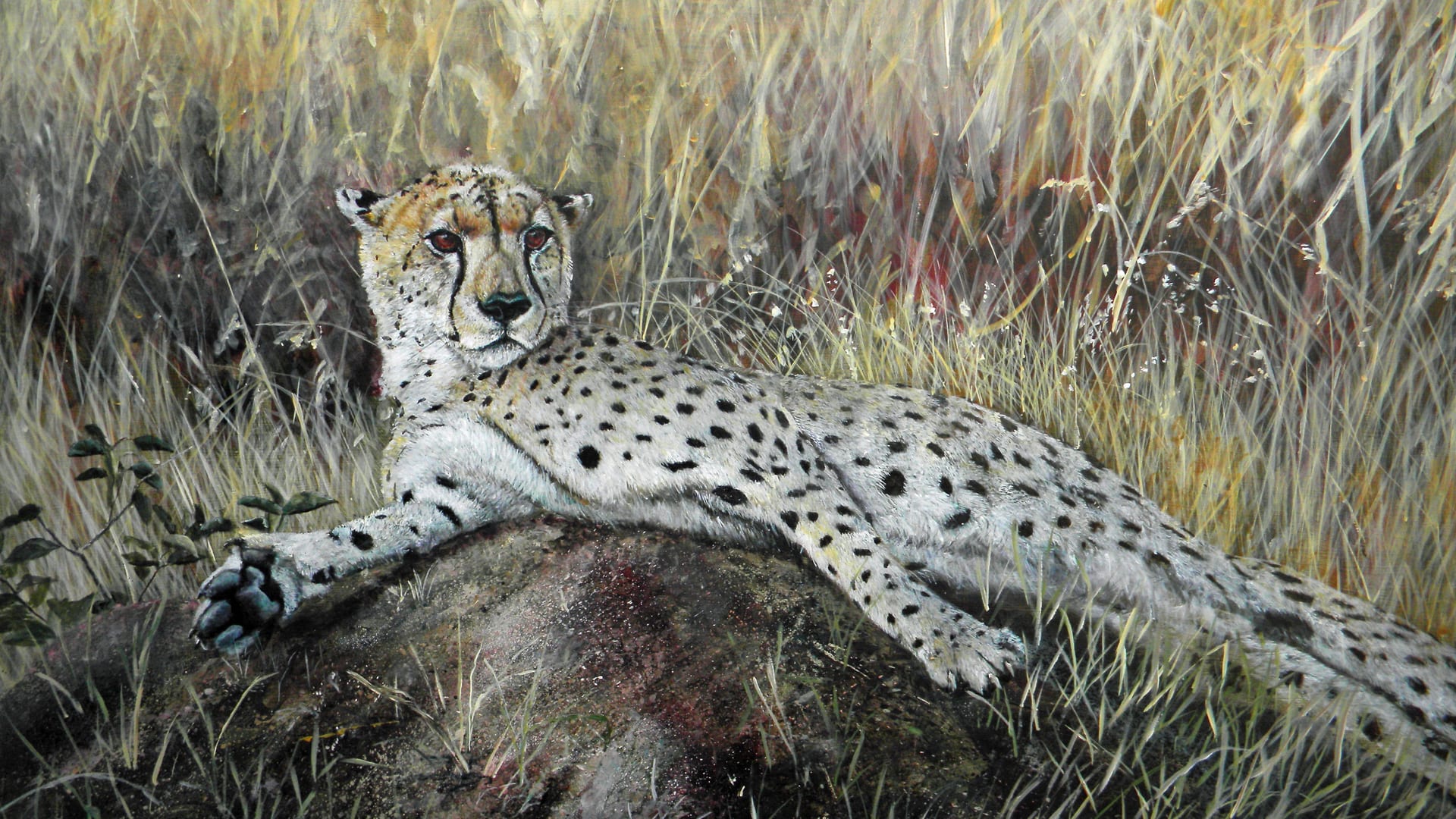 Reclining cheetah on savanna rock — painting by William John Jr.