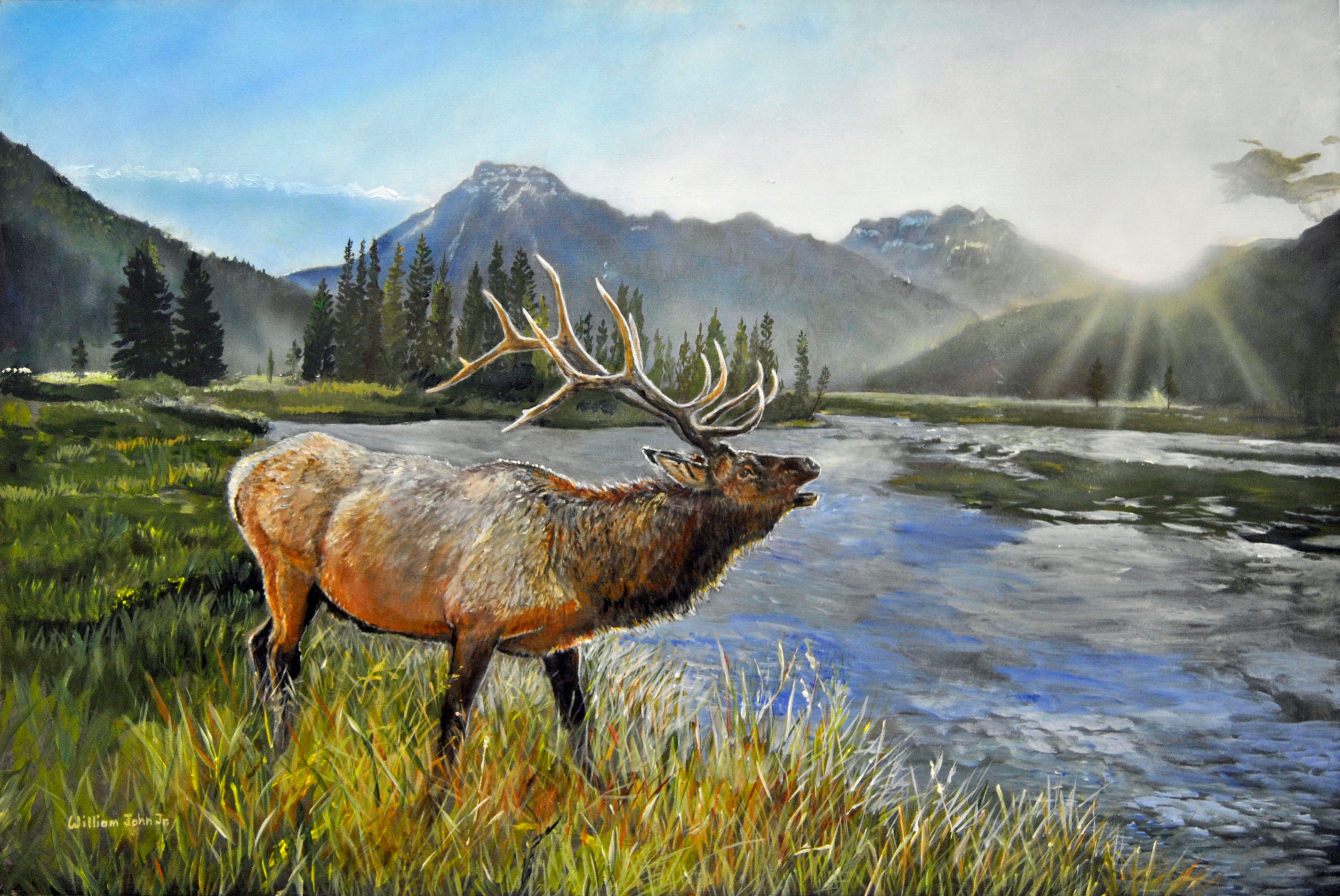 Bull elk bugling beside mountain river at sunrise — painting by William John Jr.